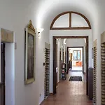 Convento Dei Cappuccini * Tolfa