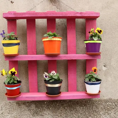 Convento Dei Cappuccini Hostel Tolfa