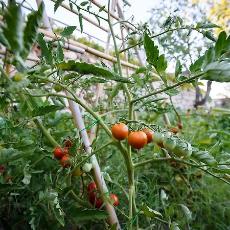 Hostel Convento Dei Cappuccini *
