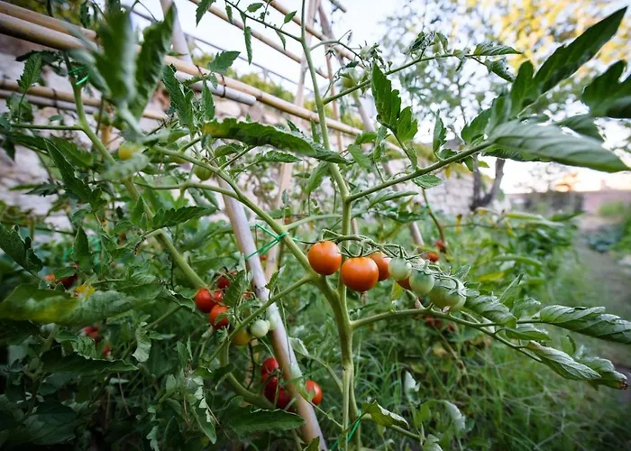 Hostel Convento Dei Cappuccini *